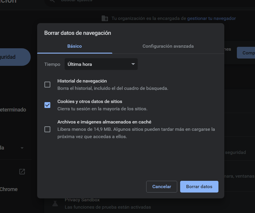 Cómo Borrar Las Cookies