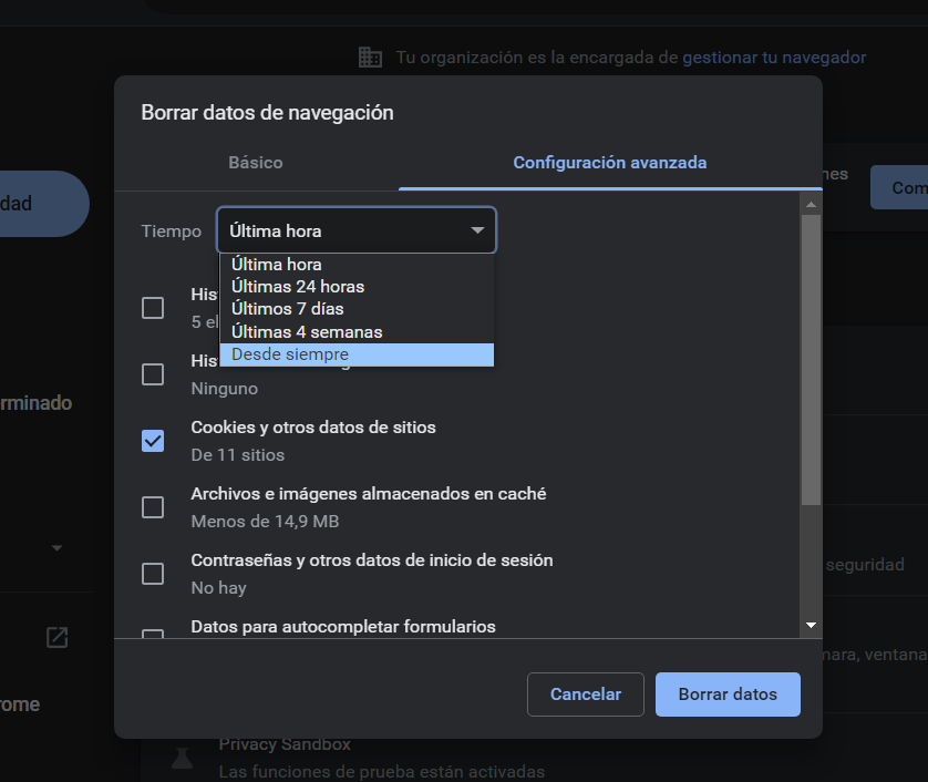 Cómo Borrar Las Cookies